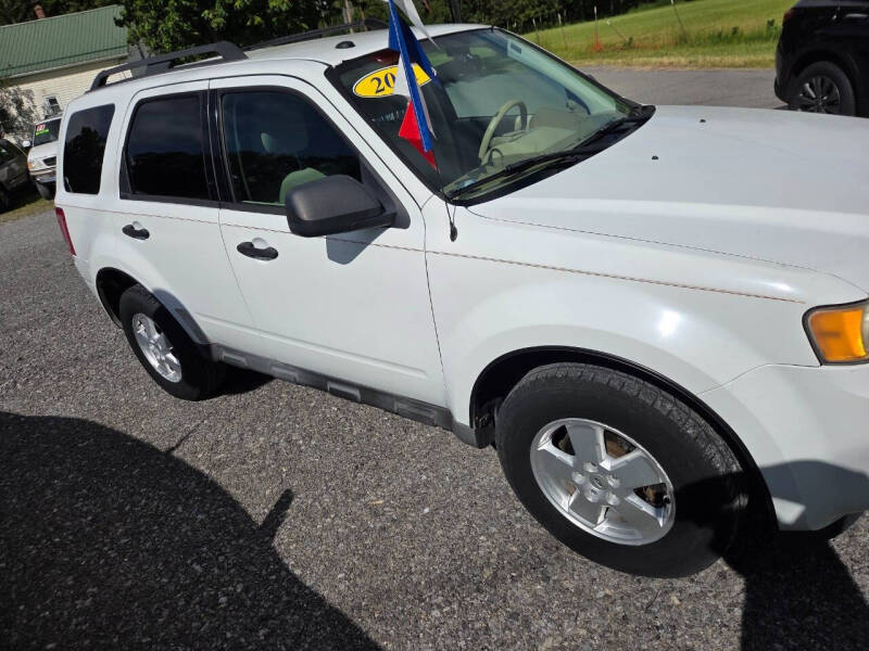 2011 Ford Escape XLT