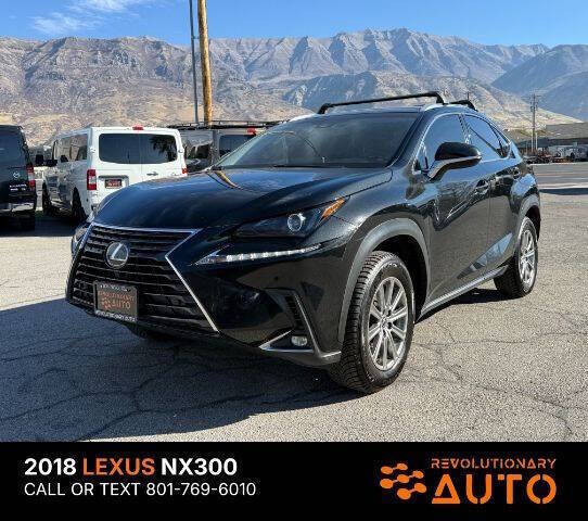 2018 Lexus NX 300's photo