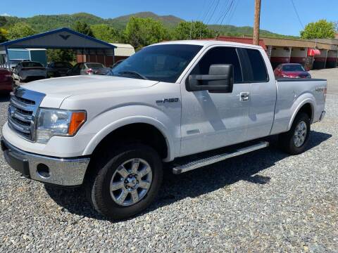 2013 Ford F-150 for sale at M&L Auto, LLC in Clyde NC