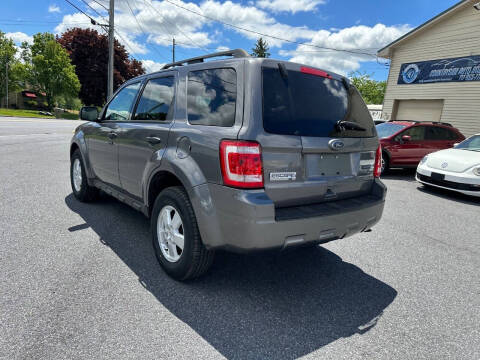 2010 Ford Escape XLT