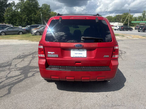 2011 Ford Escape XLT