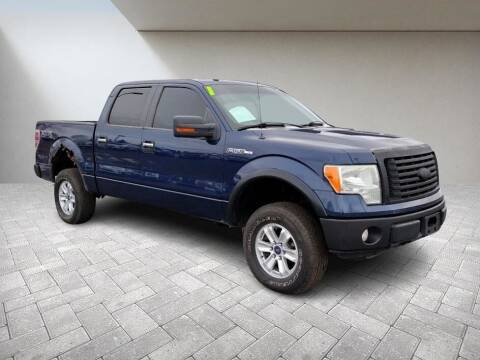 2010 Ford F-150 for sale at Lasco of Grand Blanc in Grand Blanc MI