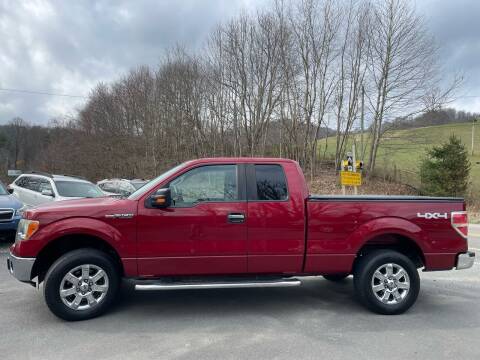 2013 Ford F-150 for sale at R C MOTORS in Vilas NC