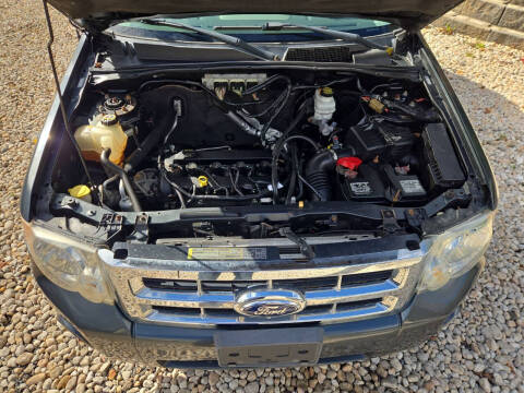 2009 Ford Escape XLT