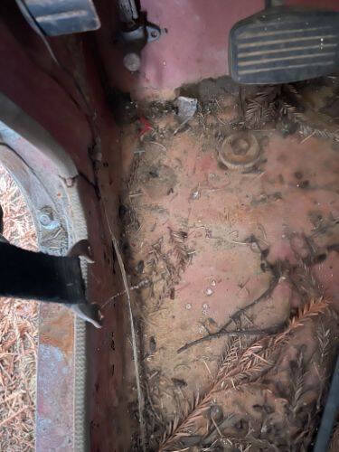 1969 International Scout