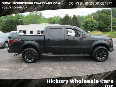 2013 Ford F-150 for sale at Hickory Wholesale Cars Inc in Newton NC