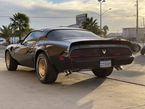1981 Pontiac Firebird Trans Am