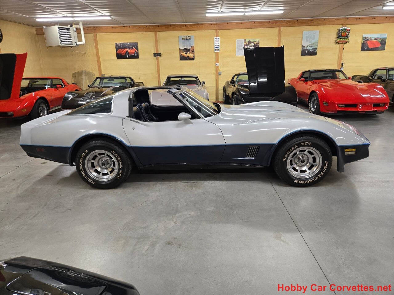 1981 Chevrolet Corvette 51