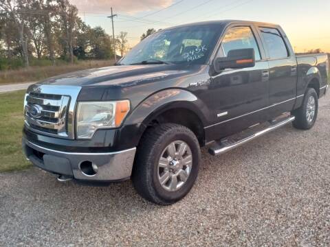 2011 Ford F-150 for sale at NETWORK AUTO SALES in Mountain Home AR
