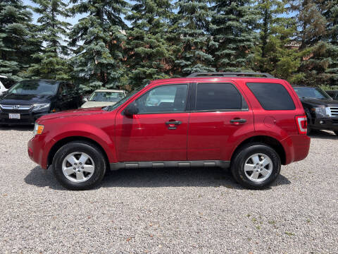 2009 Ford Escape for sale at Renaissance Auto Network in Warrensville Heights OH
