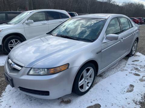 2005 Acura TL for sale at Court House Cars, LLC in Chillicothe OH