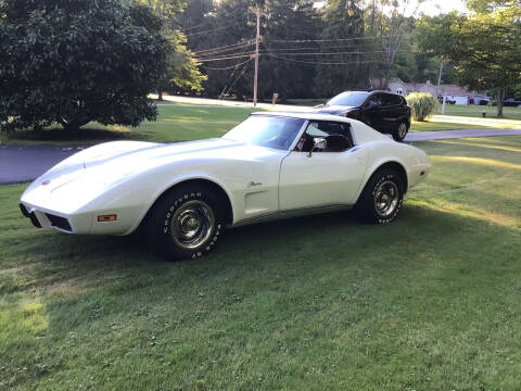 1975 Chevrolet Corvette for sale at CARuso Classics in Tampa FL