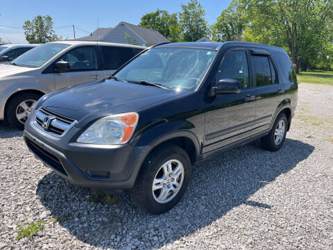 2002 Honda CR-V for sale at HEDGES USED CARS in Carleton MI