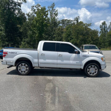 2011 Ford F-150 Platinum