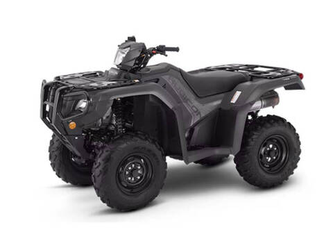 2025 Honda Fourtrax Foreman Rubicon 4x4 E for sale at Street Track n Trail in Conneaut Lake PA