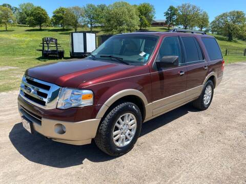2011 Ford Expedition for sale at A&P Auto Sales in Van Buren AR