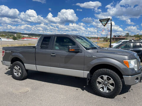2011 Ford F-150 for sale at Skyway Auto INC in Durango CO