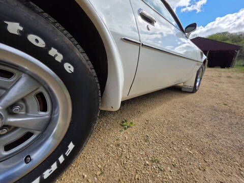 1976 Pontiac Trans Am