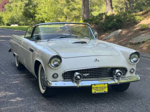 1955 Ford Thunderbird for sale at Milford Automall Sales and Service in Bellingham MA