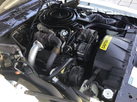 1981 Pontiac Firebird Trans Am