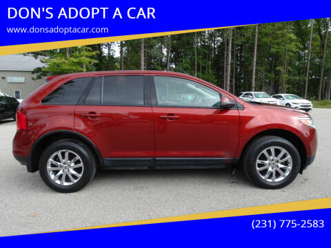 2014 Ford Edge for sale at DON'S ADOPT A CAR in Cadillac MI