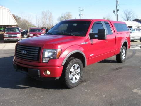 2011 Ford F-150 for sale at The Car & Truck Store in Union Grove WI