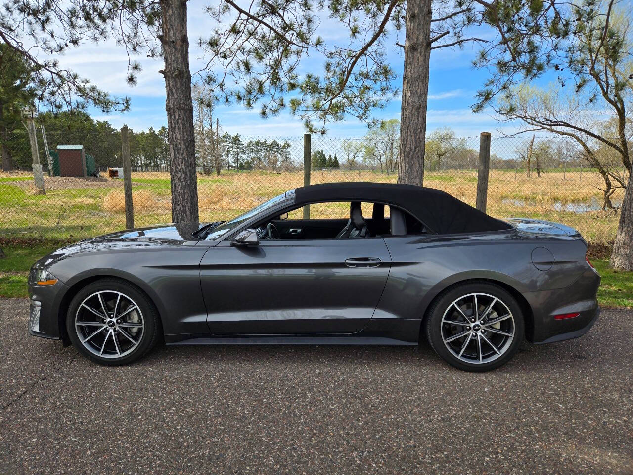 2019 Ford Mustang 6