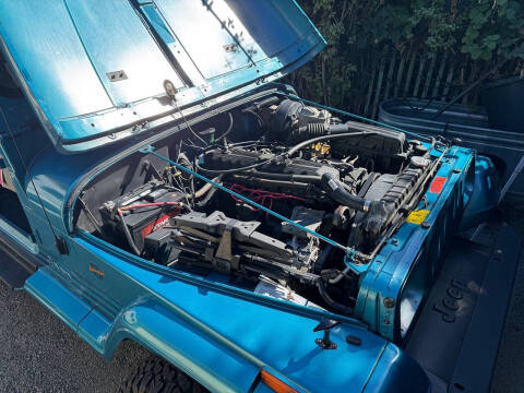 1991 Jeep Wrangler Islander