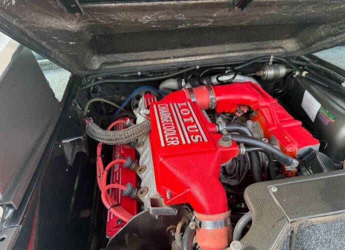 1991 Lotus Esprit Turbo