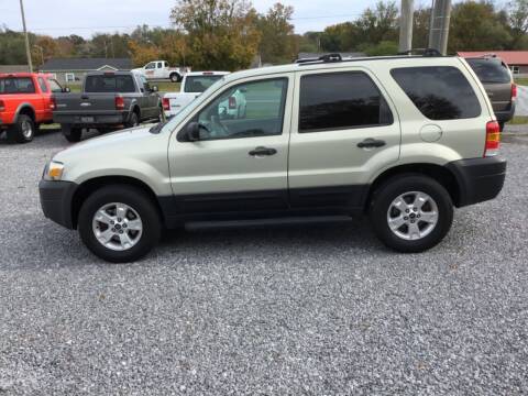 2005 Ford Escape for sale at H & H Auto Sales in Athens TN