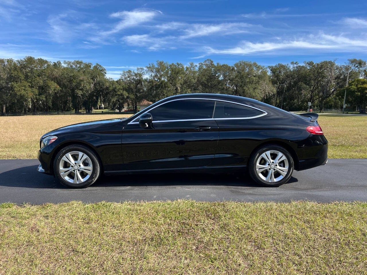 2017 Mercedes-Benz C-Class for sale at SOUTHERN AUTO WHOLESALERS in Deland, FL