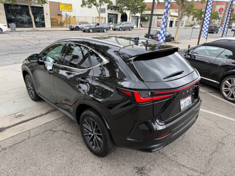 2024 Lexus NX 250
