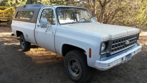 1976 Chevrolet C/K 1500 Series for sale at Classic Car Deals in Cadillac MI