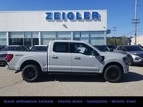 2024 Ford F-150 for sale at Zeigler Ford of Plainwell- Jeff Bishop - Zeigler Ford of Lowell in Lowell MI