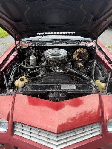 1978 Chevrolet Camaro