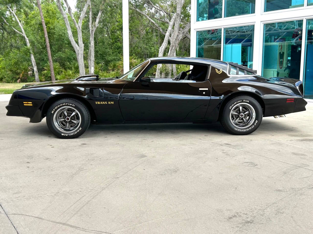 1976 Pontiac Firebird 11
