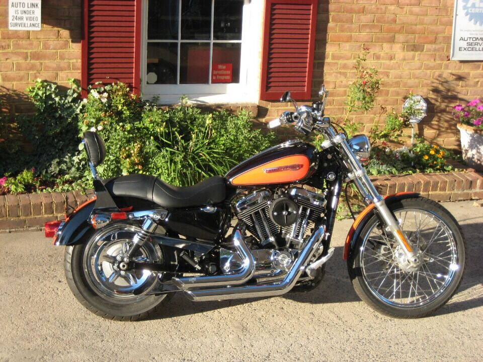 2009 Harley-Davidson Sportster 1200 Custom for sale at Auto Link Inc in Hamilton, VA