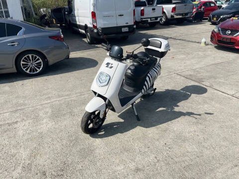 2020 Zebra E-bike