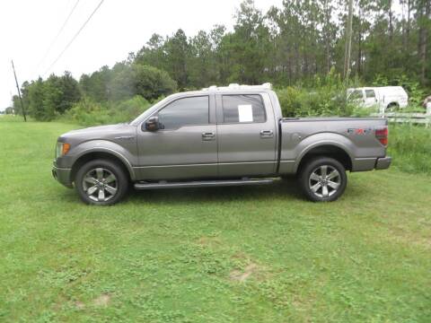 2011 Ford F-150 for sale at Ward's Motorsports in Pensacola FL