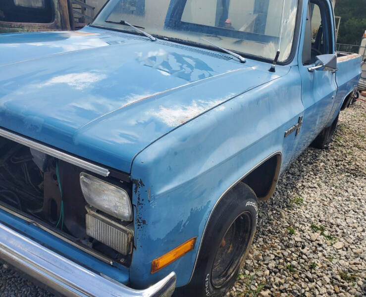 1983 Chevrolet Apache for sale at WW Kustomz Auto Sales in Toccoa GA