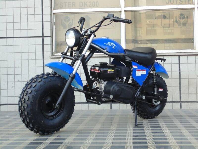 2021 TRAILMASTER MINI BIKE for sale at VICTORY AUTO in Lewistown PA