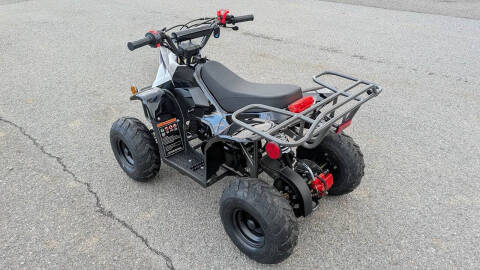 2025 TrailMaster Mini 110 Sport