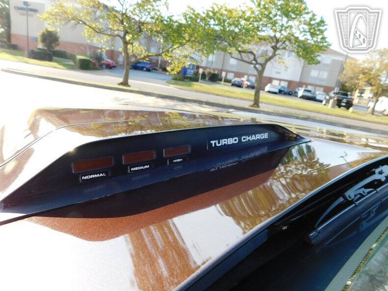 1981 Pontiac Firebird Trans Am