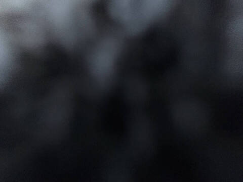 2015 Toyota Sienna L 7-Passenger