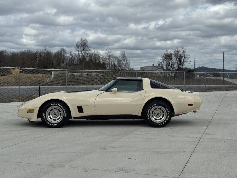 1981 Chevrolet Corvette