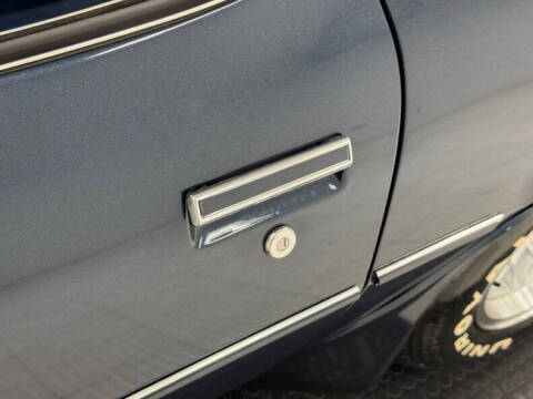 1981 Pontiac Firebird Trans Am