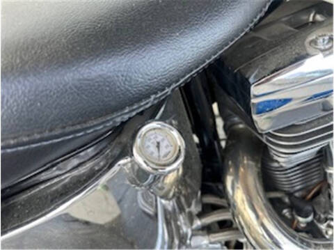 1994 Harley-Davidson FLSTN