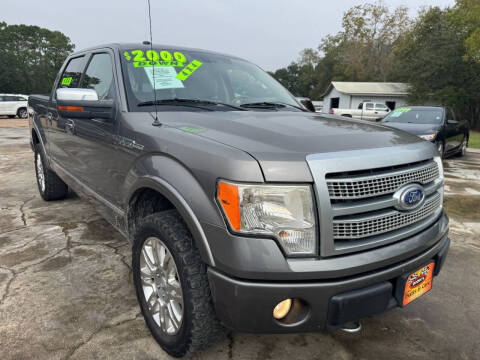 2010 Ford F-150 Platinum