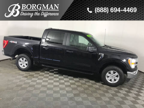 2021 Ford F-150 for sale at BORGMAN OF HOLLAND LLC in Holland MI