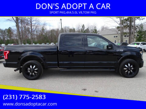 2016 Ford F-150 for sale at DON'S ADOPT A CAR in Cadillac MI